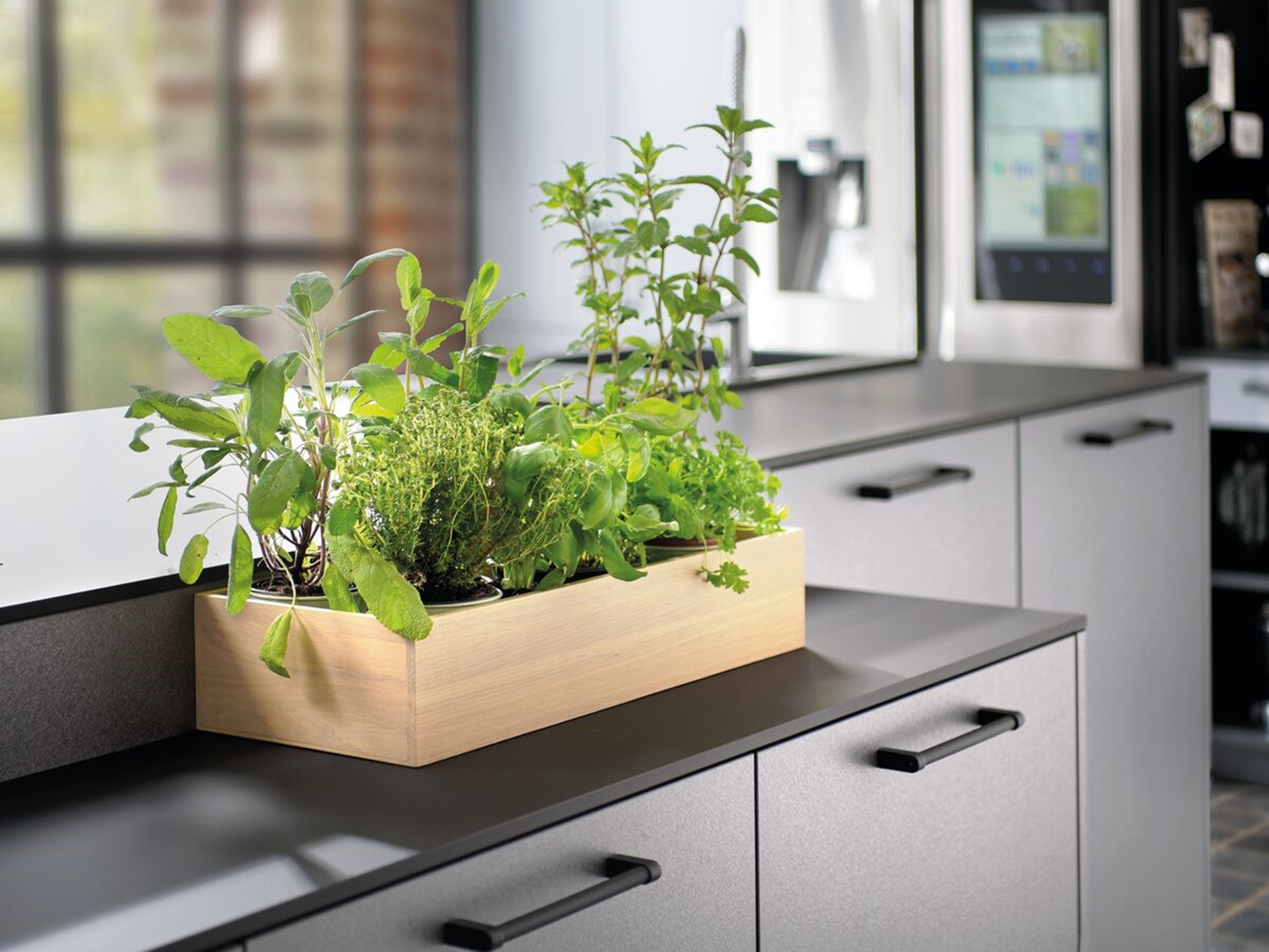 bac pour plantes aromatiques posé sur le plan de travail de l’ilot central